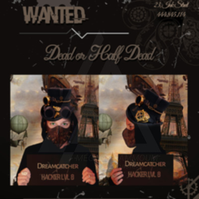 Wanted Mégane HAMMOUM Webmaster Toulouse