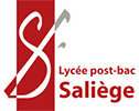 Lycée Saliège, Webmaster Mégane HAMMOUM