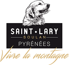 Saint-Lary Mégane HAMMOUM Webmaster Toulouse
