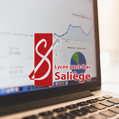 Newsletter Mégane HAMMOUM Webmaster Toulouse