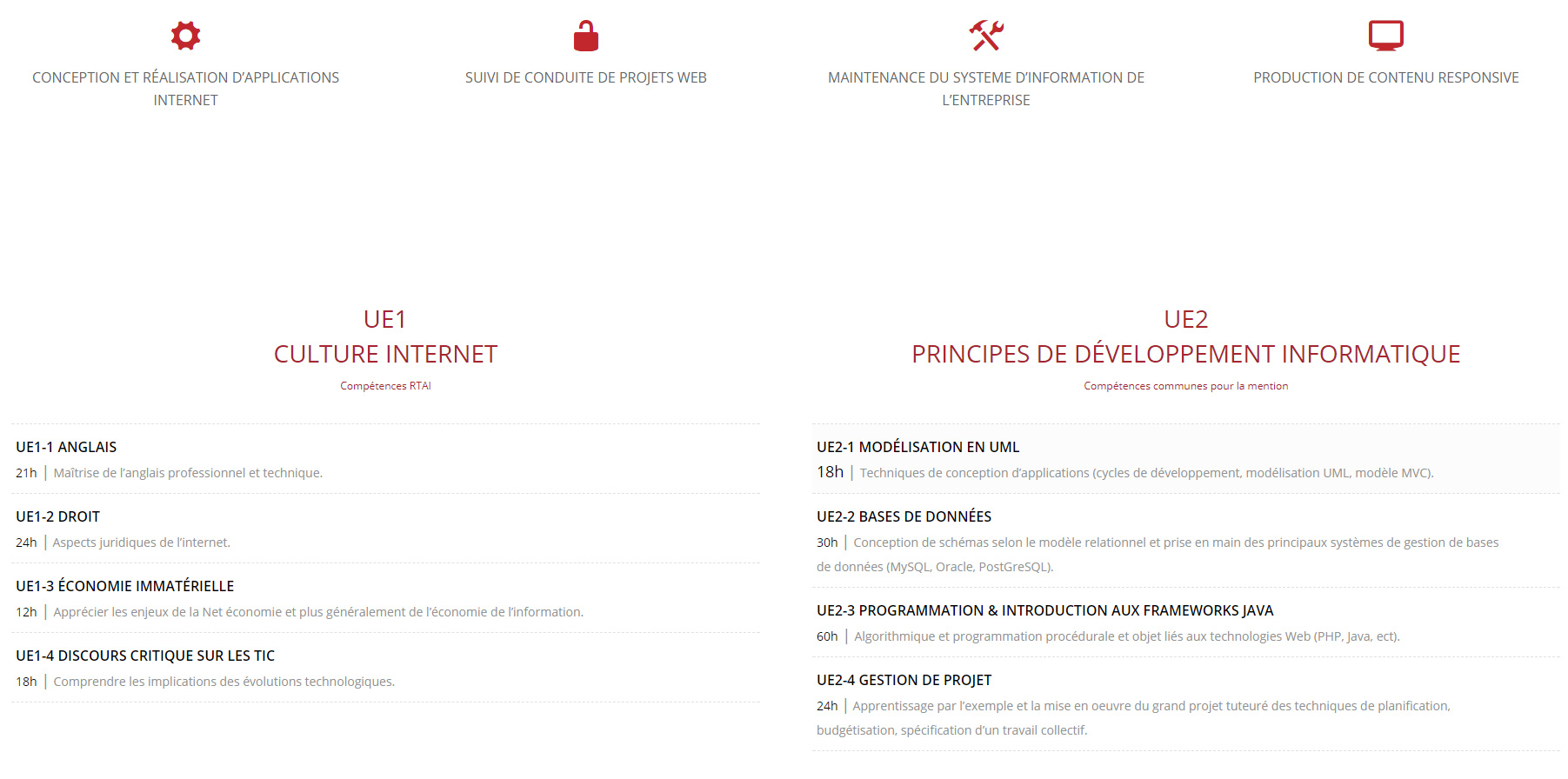 Aperçu RTAI Mégane HAMMOUM Webmaster Toulouse